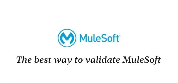 The best way to validate MuleSoft | Others Development | Justwebdevelopment