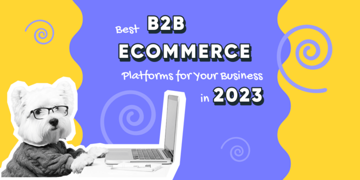 Best B2B ECommerce Platforms 2023 | Ecommerce Development ...